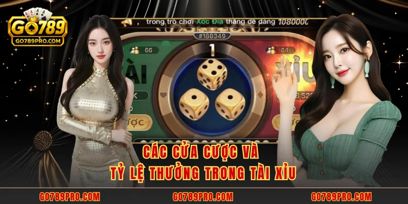 Các cửa cược và tỷ lệ thưởng trong tài xỉu